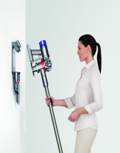 Aspirateur sans fil V7 Animal